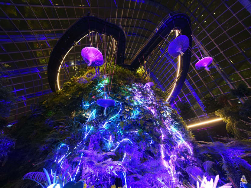Welcome to Pandora: Check out the new Avatar immersive exhibit at Gardens by the Bay's Cloud Forest