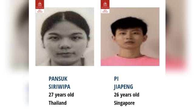  涉欺诈案夫妻正式被列入国际刑警红色通缉令名单