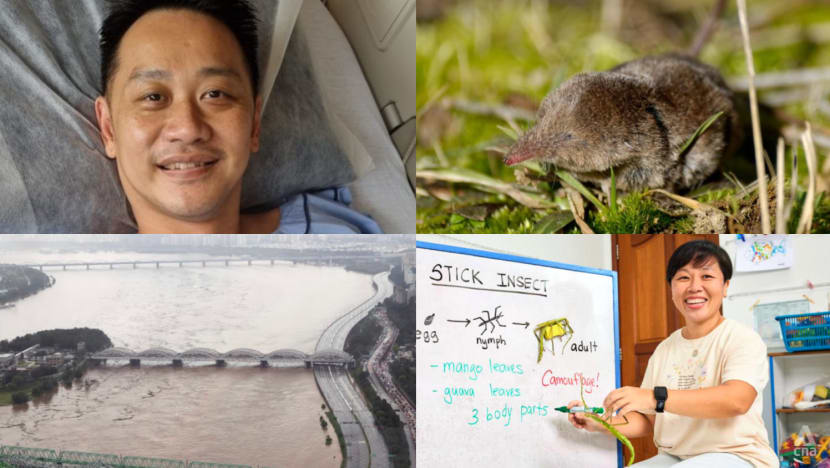 Daily round-up, Aug 10: Full recovery expected for Red Lion Jeffrey Heng; new Langya virus infects 35 in China; deadly floods in Seoul Daily round-up, Aug 10: Full recovery expected for Red Lion Jeffrey Heng; new Langya virus infects 35 in China; deadly floods in Seoul