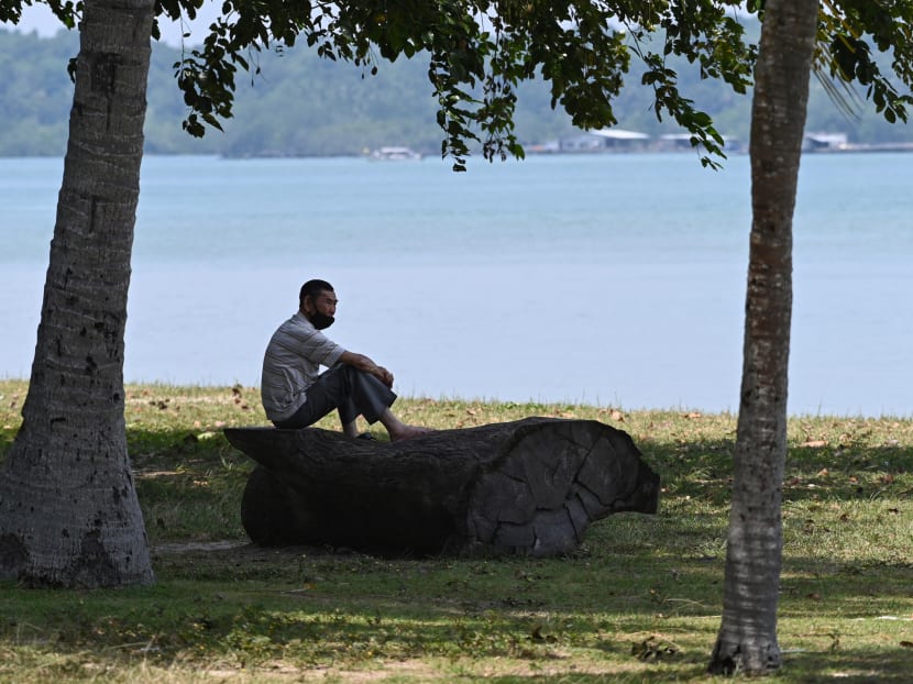 A man sits on a tree trunk next to a beach looking out to the sea in Singapore on Oct 16, 2020.