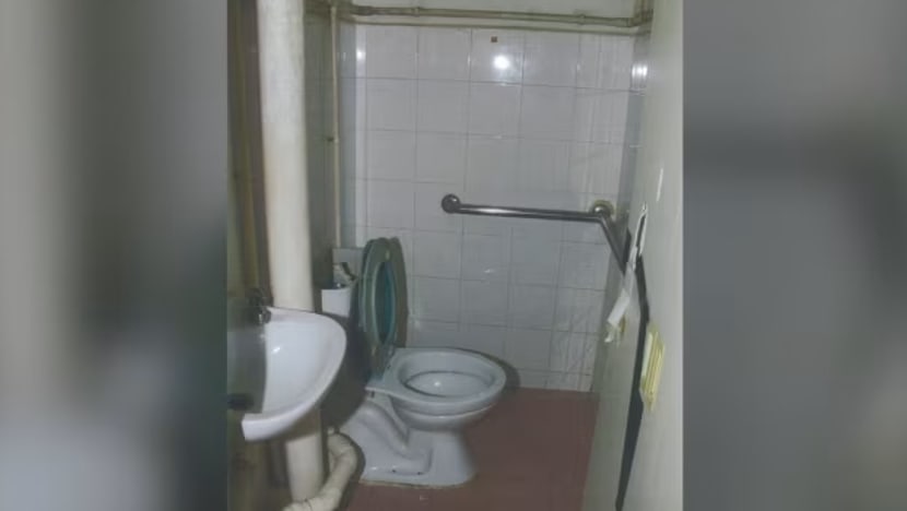 ayeesha child abuse confined toilet