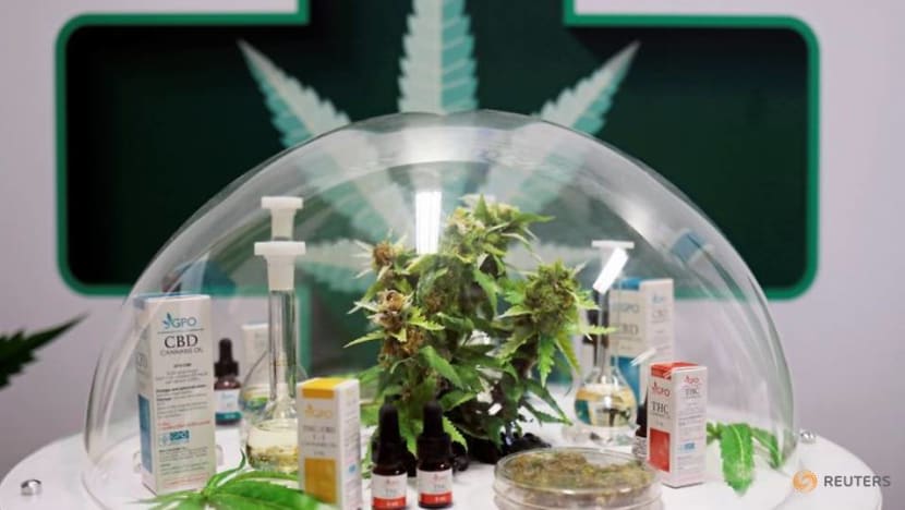 Thailand rolls out cannabis clinic based on traditional medicine