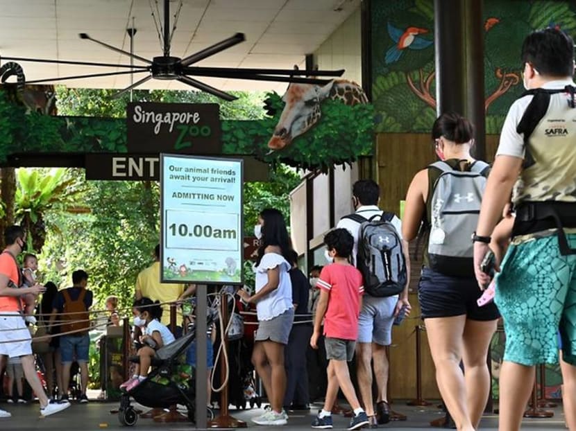 SingapoRediscovers vouchers scheme extended to year end, 'enhancements' to be introduced 