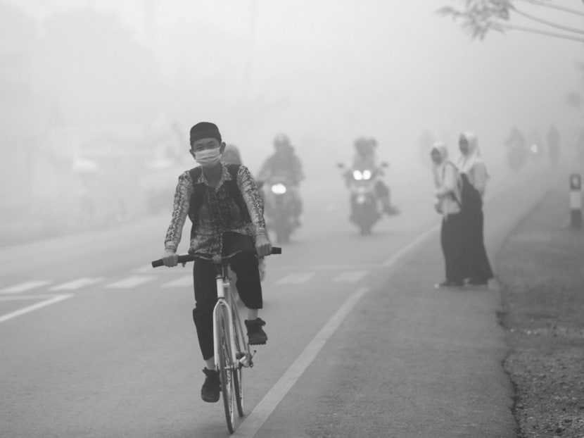 Financial institutions can make a positive contribution to broader economic growth and stability. Indonesia has estimated that the haze could set it back by as much as S$47 billion. Photo: Reuters