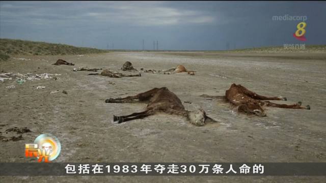 全球气候暖化导致天灾发生次数 过去50年来飙升逾四倍