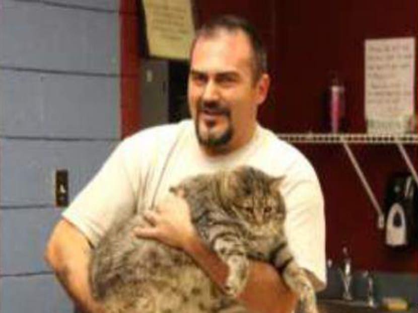 This undated photo released by the Maricopa County Animal Care & Control shelter, shows shelter personnel holding Meatball, a 16kg cat in Phoenix. Photo: AP
