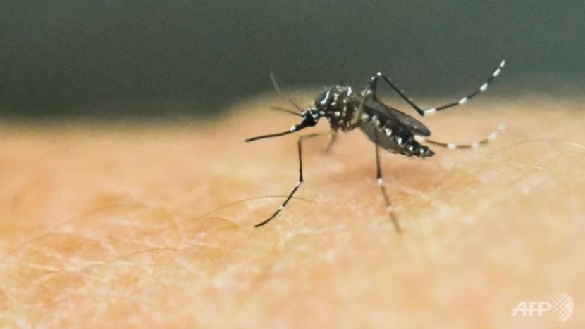 Ini 7 sebab kenapa anda digigit nyamuk...
