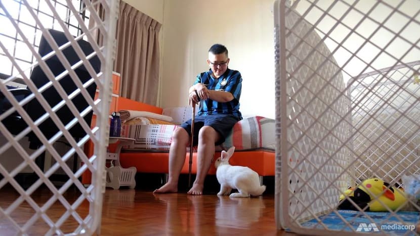 'Treated as toys': The groups fighting to save abandoned, abused pet rabbits 'Treated as toys': The groups fighting to save abandoned, abused pet rabbits
