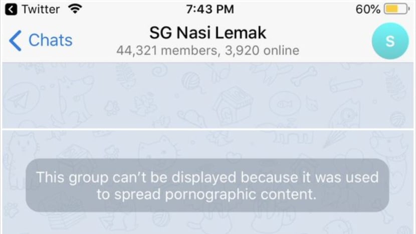 Administrator of sex-themed SG Nasi Lemak Telegram chat group gets jail and fine, had 8,000 obscene images Administrator of sex-themed SG Nasi Lemak Telegram chat group gets jail and fine, had 8,000 obscene images