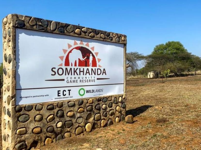 South African game reserve turns to meat sales to survive pandemic South African game reserve turns to meat sales to survive pandemic