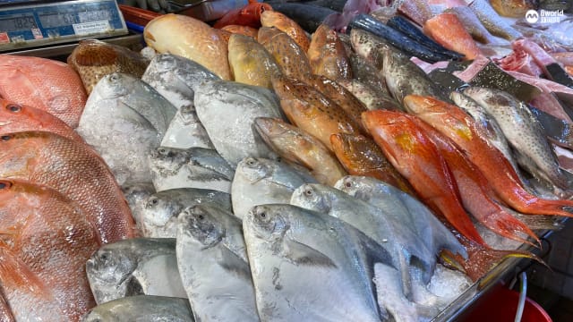 鱼虾近几周或再起价20% 石斑每公斤价或达60元