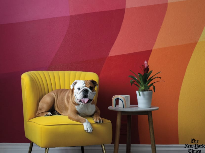 Tips on how to liven up the walls of your home with some colour and fun