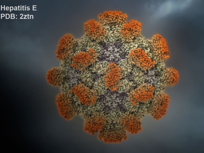 An image rendering of the Hepatitis E virus. The infection, which attacks the liver, is commonly found in developing countries that lack access to clean water and good sanitation, but cases have been reported in Singapore.