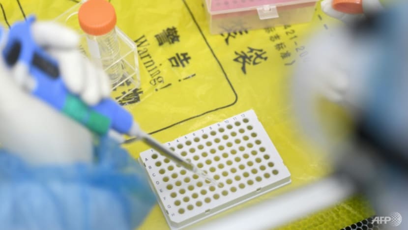 China says COVID-19 'lab leak' claims hurt US credibility China says COVID-19 'lab leak' claims hurt US credibility