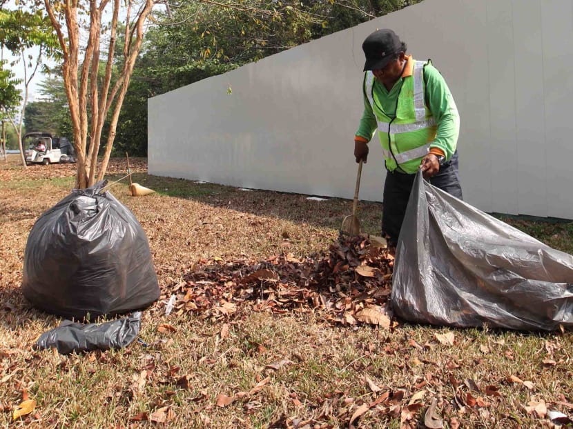 NEA steps up efforts to clear leaf litter to control mosquito population