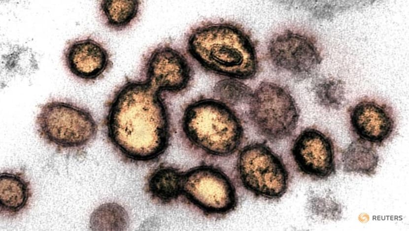 COVID-19 vaccine trials evaluating mostly mild cases, not designed to prove they can save lives: Expert COVID-19 vaccine trials evaluating mostly mild cases, not designed to prove they can save lives: Expert
