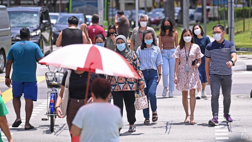 Commentary: In a fast-changing world, dialect groups are a means of respecting our colourful ancestry Commentary: In a fast-changing world, dialect groups are a means of respecting our colourful ancestry