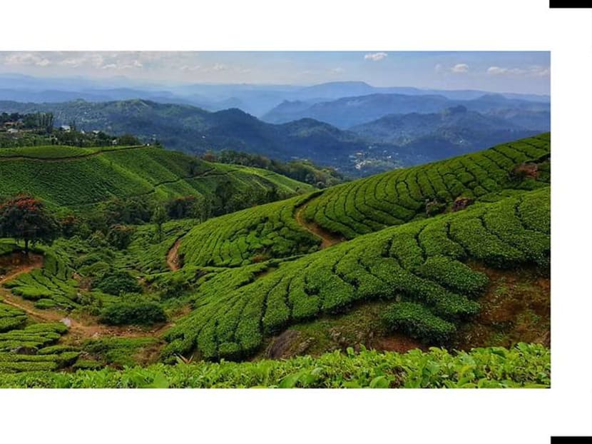 Far from the madding crowds: Why Kerala makes a great year-end destination Far from the madding crowds: Why Kerala makes a great year-end destination