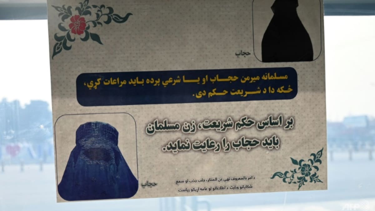 Taliban melarang perempuan Afghanistan terbang sendirian sebagai kemunduran terbaru terhadap hak asasi manusia
