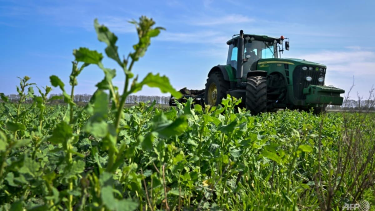 UE menjanjikan lebih banyak uang tunai dalam kebuntuan gandum di Ukraina, Bulgaria melarang impor