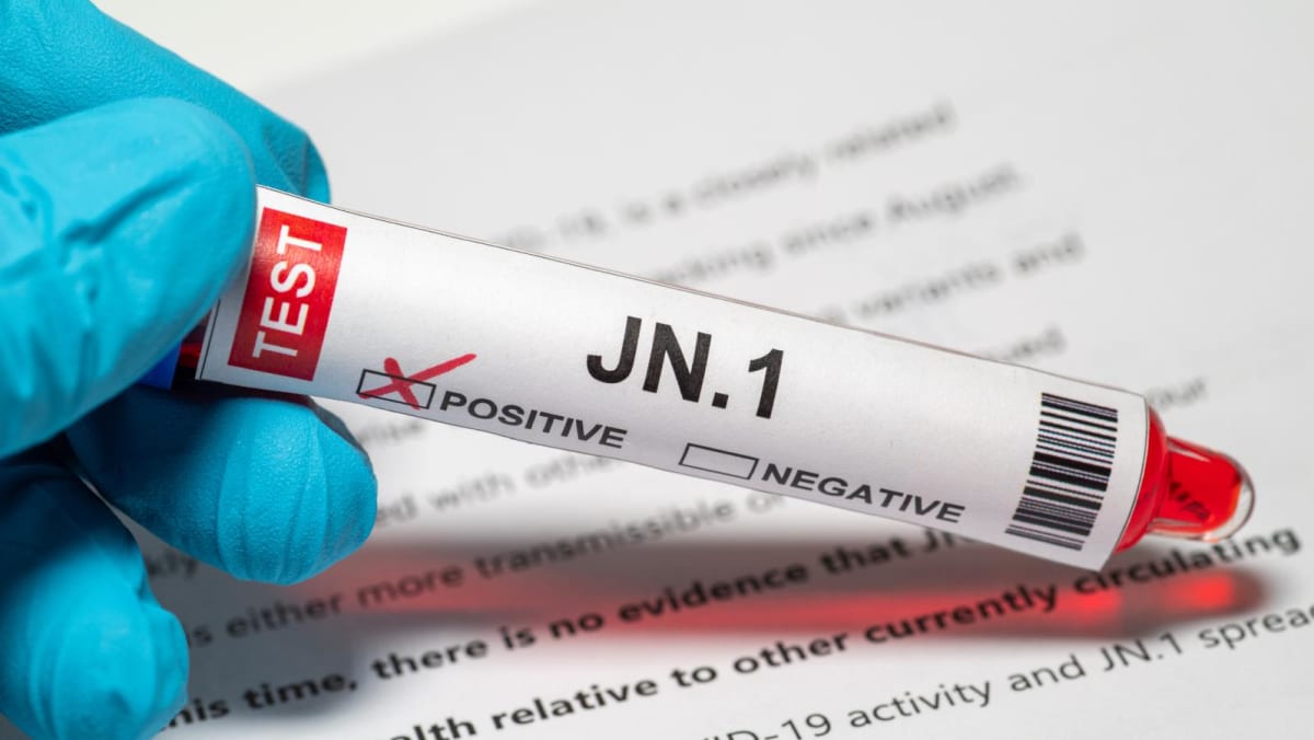 Explainer: How serious is JN.1, WHO's latest COVID-19 variant of concern  that is dominating Singapore cases? - CNA