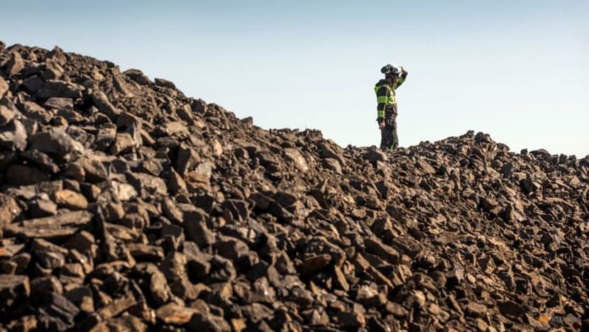 Analysis:Auto firms race to secure non-Chinese graphite for EVs as shortages loom
