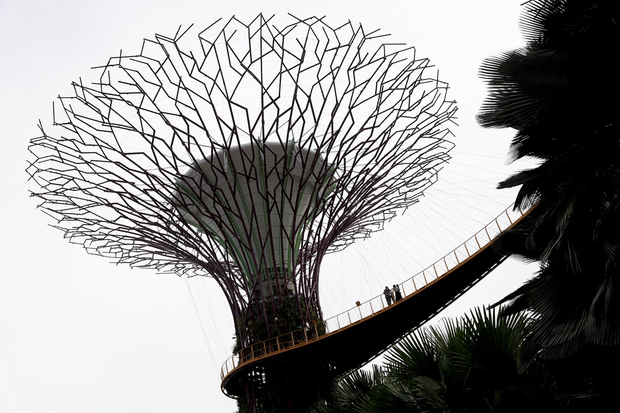 The Supertree Grove at Gardens by the Bay. The Supertree Grove at Gardens by the Bay.