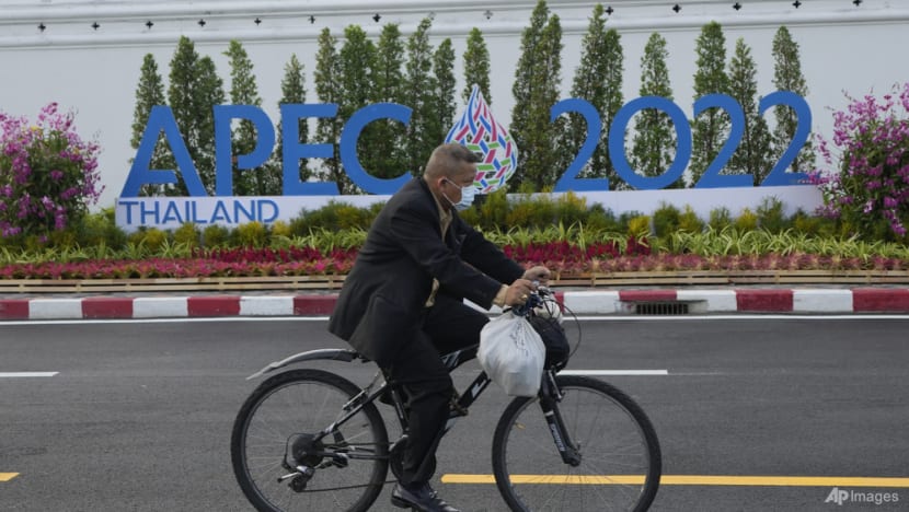 Thailand geared up for APEC summit, but not everyone is excited Thailand geared up for APEC summit, but not everyone is excited
