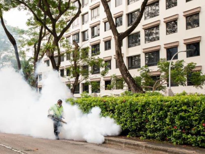 More dengue cases expected in 2022; continued work-from-home arrangements a factor: NEA More dengue cases expected in 2022; continued work-from-home arrangements a factor: NEA