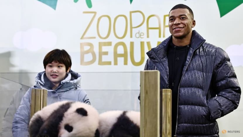 Soccer star Mbappe becomes godfather to panda cub Soccer star Mbappe becomes godfather to panda cub