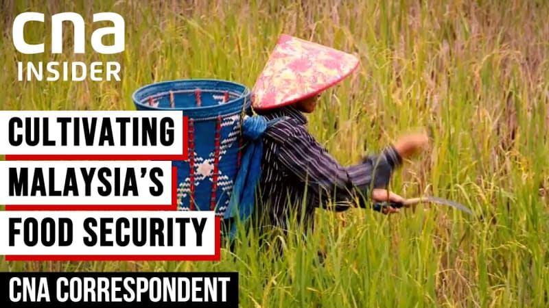 Malaysia farming