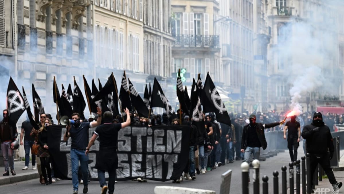 Paris police under fire over neo-Nazi rally