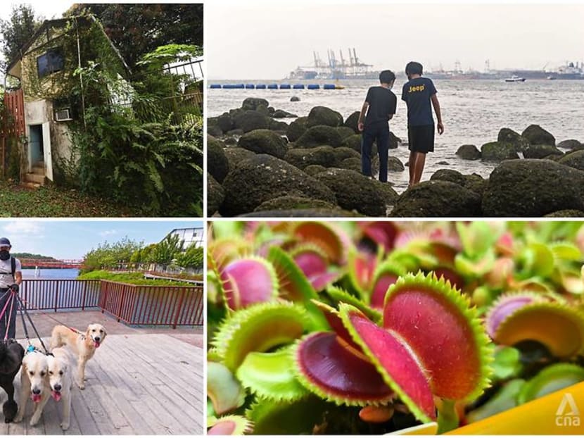 Up Your Alley: Punggol’s gleaming waterfront living steeped in rustic charm Up Your Alley: Punggol’s gleaming waterfront living steeped in rustic charm