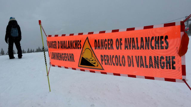 阿尔卑斯山区发生雪崩 四死九伤 
