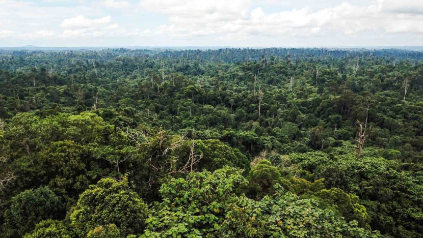 Leaving Jakarta: Indonesia accelerates plans for 'green, smart' capital in the middle of Borneo wilderness Leaving Jakarta: Indonesia accelerates plans for 'green, smart' capital in the middle of Borneo wilderness