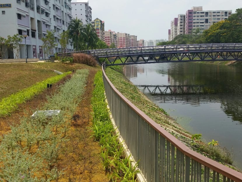 Two revitalised rivers in east Singapore open