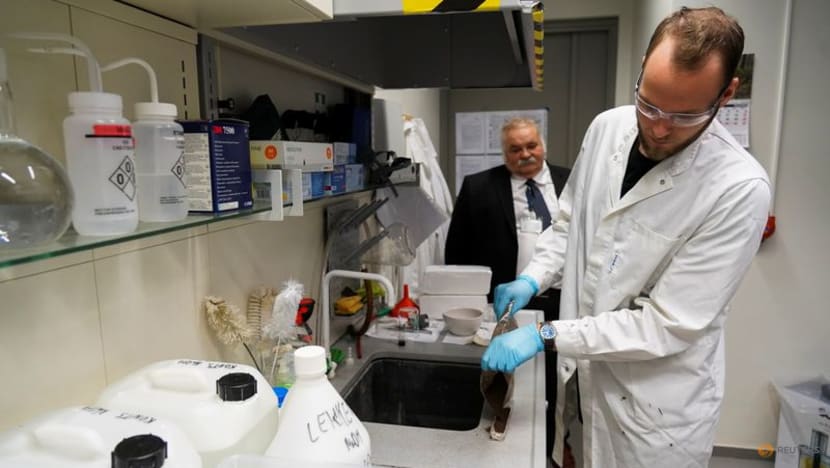 Energy from bogs: Estonian scientists use peat to make batteries Energy from bogs: Estonian scientists use peat to make batteries