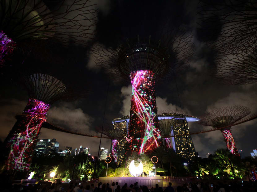 Gardens Extravaganza Special at Gardens by the Bay is a two-night only event full of festivities and will be happening on June 3 and 4, 2017.  Photo: Jason Quah/TODAY