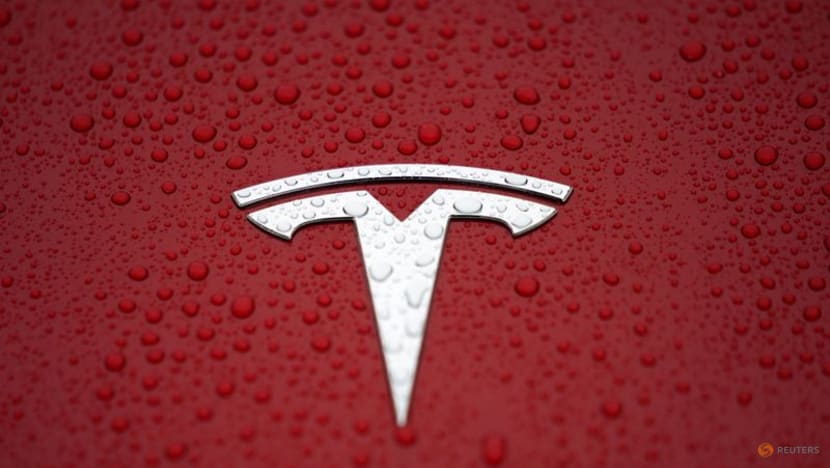 Tesla looks to pave the way for Chinese battery makers to come to U.S