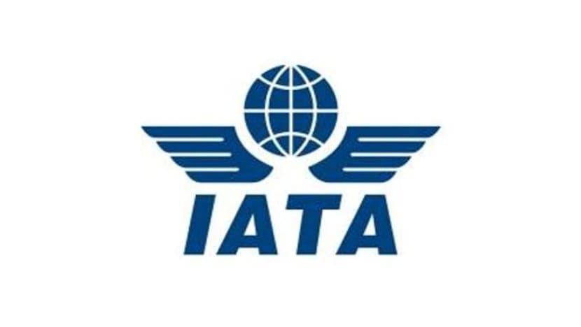 Hampir 8 bilion penumpang pesawat pada 2036: IATA gesa dipatuhi piawai global