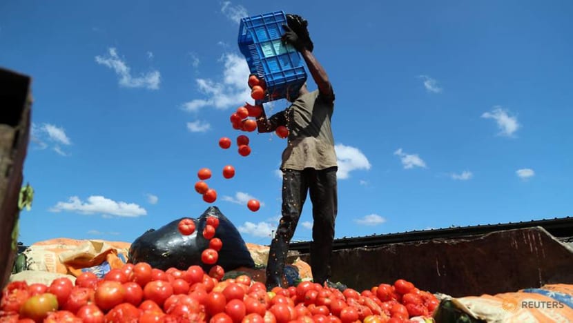 The Big Read: Global supply chain shock has farmers dumping food as consumers fret over shortages, price hikes The Big Read: Global supply chain shock has farmers dumping food as consumers fret over shortages, price hikes