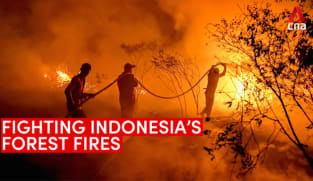 Indonesia's forest fires flare up after a four-year hiatus | Video