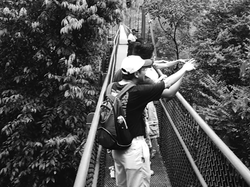 Trekkers at MacRitchie Reservoir. The LTA has held dialogue sessions with green groups after it announced the proposed construction of the Cross Island Line across parts of the Central Catchment Nature Reserve. Photo: David Chew