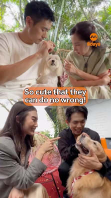 How long will dog actors Rambo and Binky stay for treats?

Furever Yours is now airing on mewatch.

#fureveryours #mediacorpfureveryours #宠他还是爱我