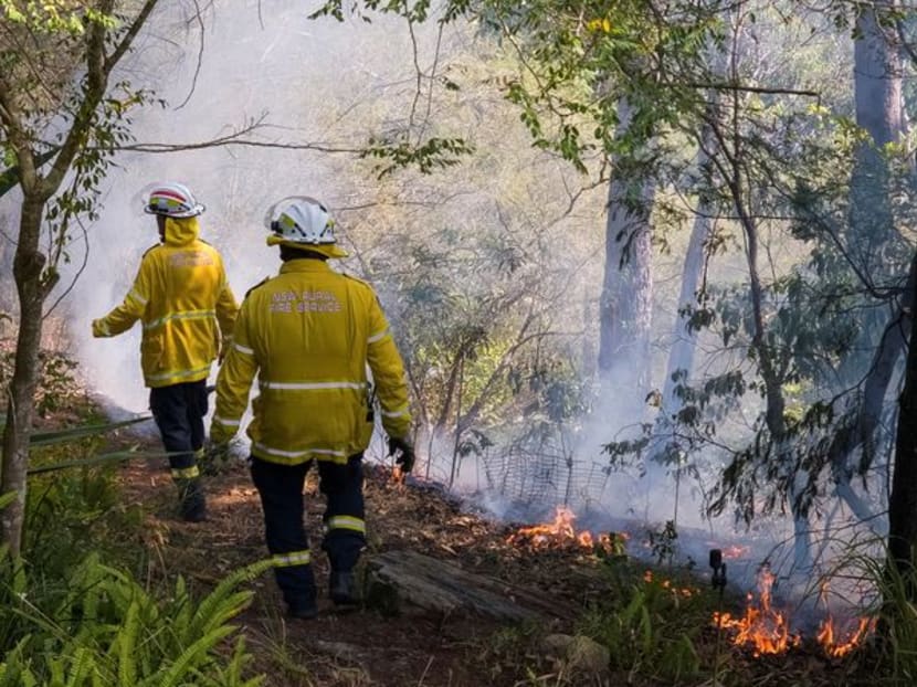 Strong winds fan bushfires as Australia battles spring heatwave