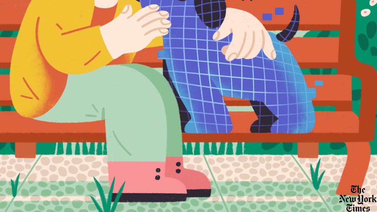 A weekend with an emotional support AI companion A weekend with an emotional support AI companion