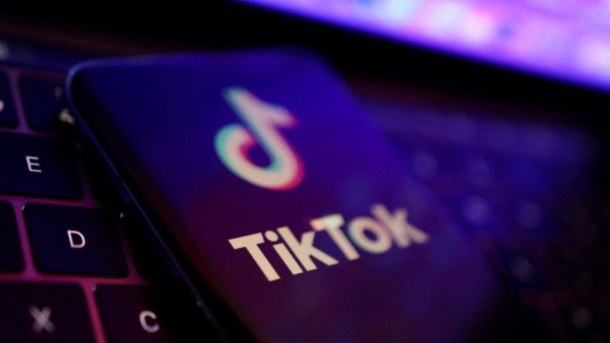 CEO TikTok berupaya meyakinkan aturan UE tentang privasi dan keselamatan anak