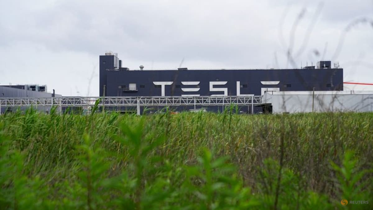 Ekspansi Tesla di Tiongkok menemui hambatan di tengah kelebihan kapasitas di industri