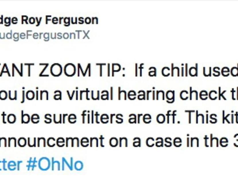 'I'm not a cat,' says lawyer after Zoom filter mishap 'I'm not a cat,' says lawyer after Zoom filter mishap