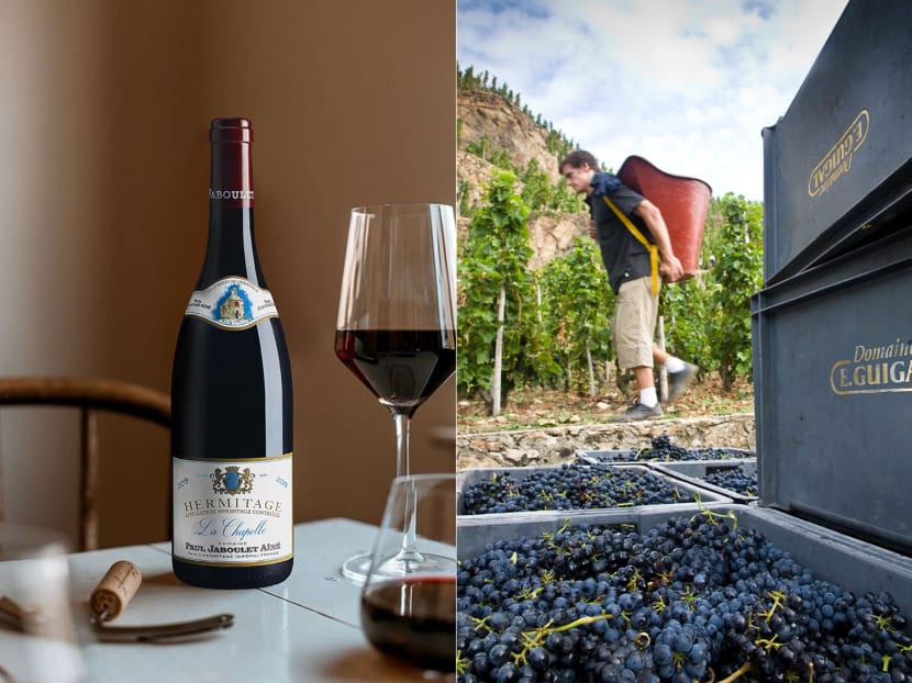 Rhone reds: Your guide to the bold and beautiful syrahs of northern Rhone
